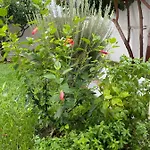 Вилла Perla Dei Messapi *