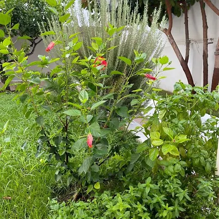 Villa Perla Dei Messapi *