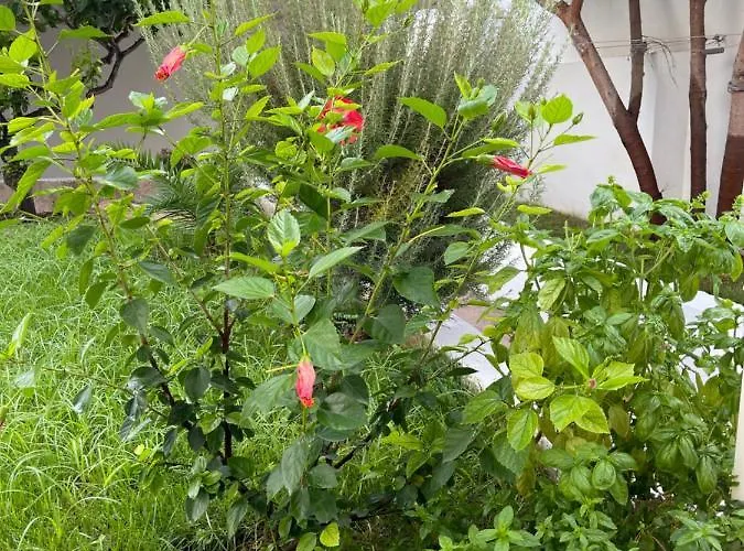 וילה Perla Dei Messapi *